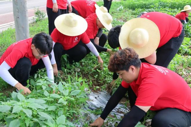 社会实践(二十一)|保定理工学院经济学院“薪火逐光”实践团赴神农现代农业示范园开展“三下乡”社会实践活动(四)