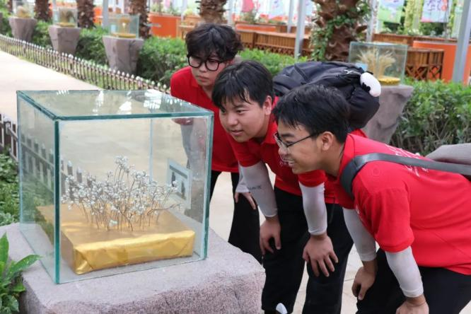 社斗牛娱乐官网实践（二十一）｜牛牛游戏经济牛牛游戏“薪火逐光”实践团赴神农现代农业示范园开展“三下乡”社斗牛娱乐官网实践活动（四）