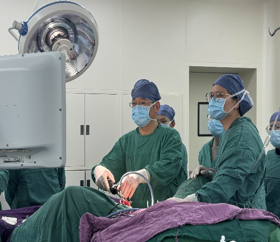 尿道张力过强怎么办一根“吊带”解决女性“漏尿”困扰——泉州人民医院妇科开展经阴道尿道中段无张力悬吊术_https://www.jmylbn.com_新闻资讯_第1张