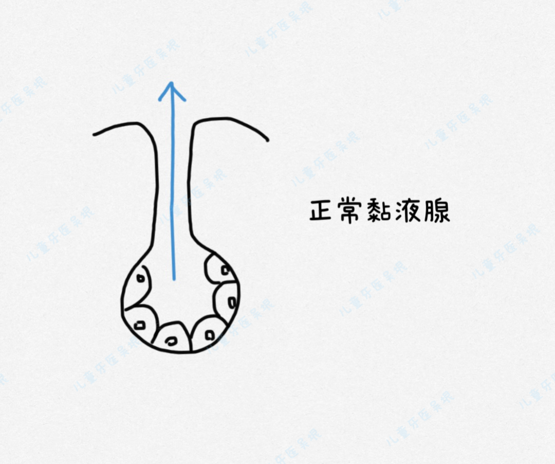 口腔长泡是什么原因引起的