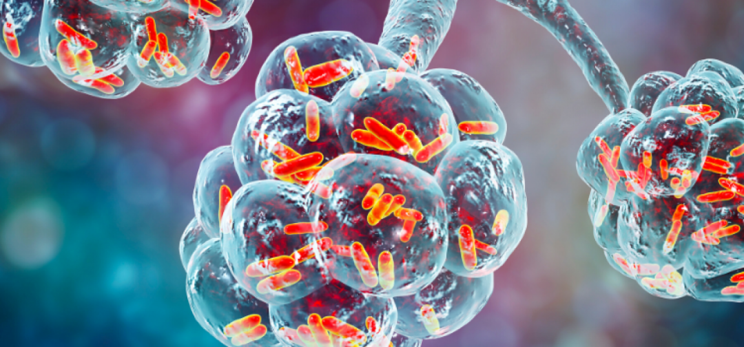 阿奇霉素与阿莫西林的区别