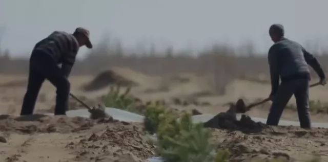 蚂蚁森林地铁出行能量_蚂蚁森林能量产生规则_蚂蚁森林能量产生规则