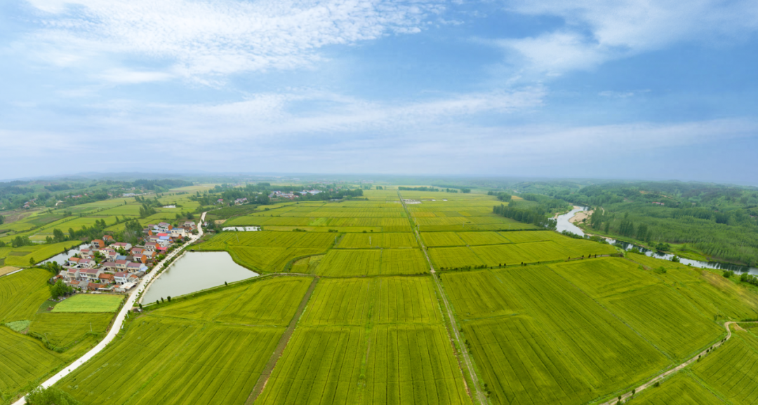 新年贺词 | 风劲帆满图新志 勇毅笃行再出发新年贺词,华夏农耕文明,随县发展,经济增长,社会事业进步