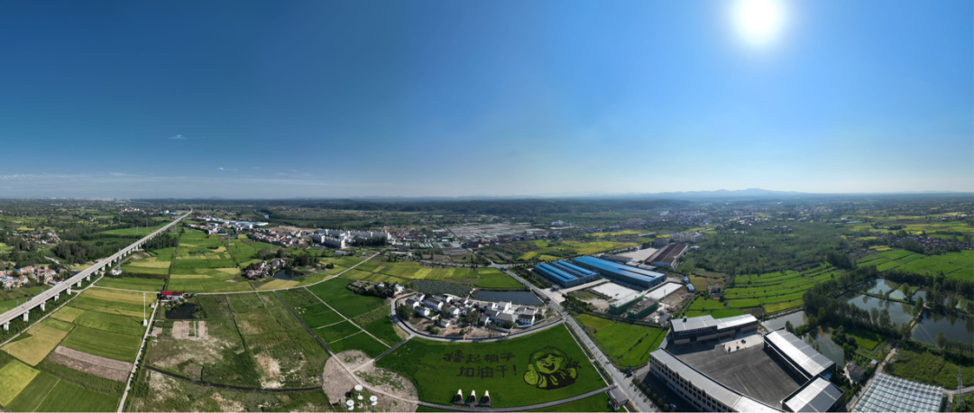 新年贺词 | 风劲帆满图新志 勇毅笃行再出发新年贺词,华夏农耕文明,随县发展,经济增长,社会事业进步