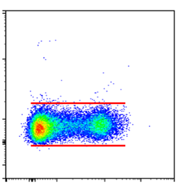 共表達(dá)抗原的工作