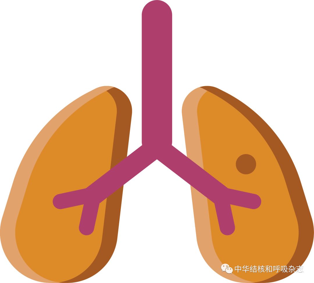 【年度综述】耐多药/利福平耐药结核病化学治疗年度进展2022