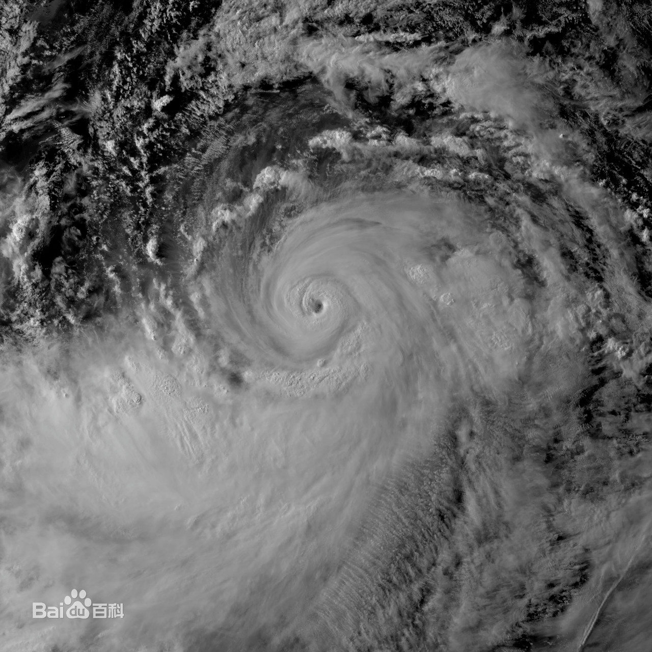 【钢结构·技术】中国第一高楼是如何抗击“风王”利奇马的？