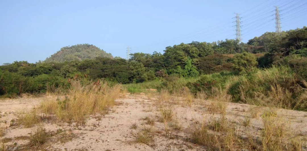 21家房企报名！深圳今年*轮土拍即将开幕！