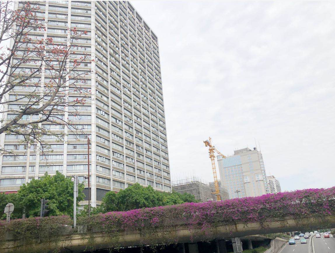 广州紫星华府怎么样？值不值得买？