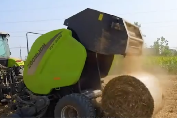 奇妙精灵怎么样南小精灵奇妙物语③——“新”声_https://www.jmylbn.com_新闻资讯_第11张