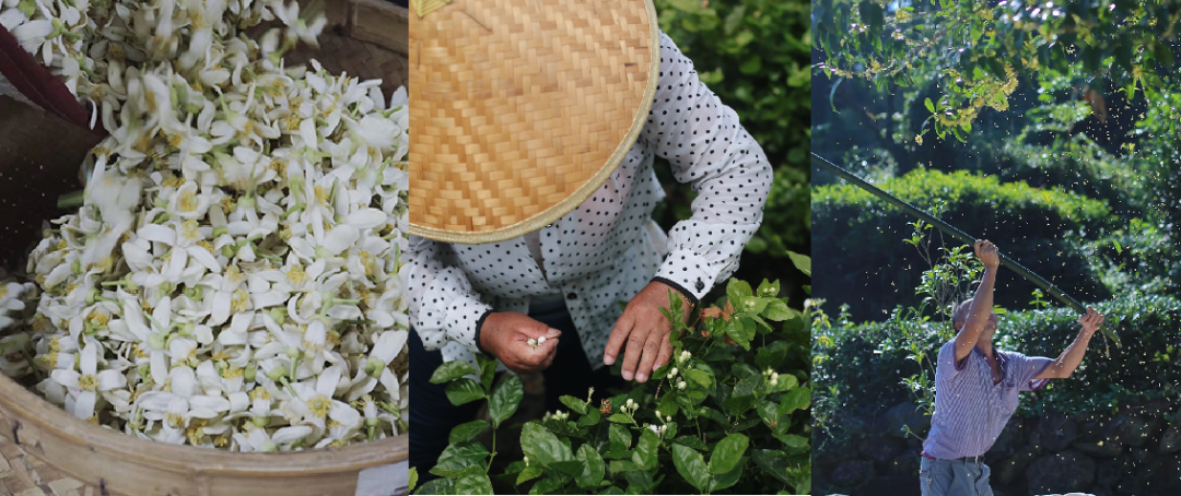 ���̲辪�ޣ��ȿ�����ͷ���úȻ�����Ҵ��������һ�����