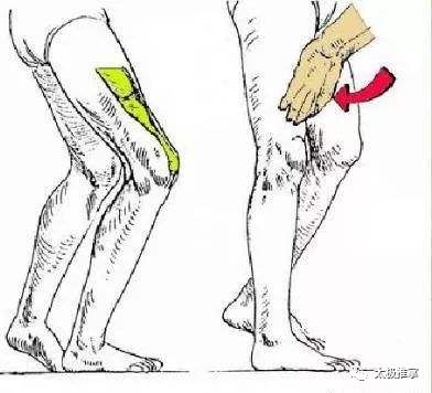 步态分析上曲线怎么解读常见异常步态分析_https://www.jmylbn.com_新闻资讯_第8张