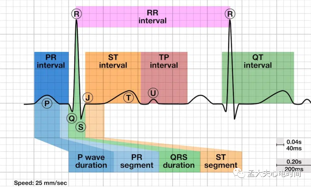 p心电图功能怎么开通心电基础-P波_https://www.jmylbn.com_新闻资讯_第1张