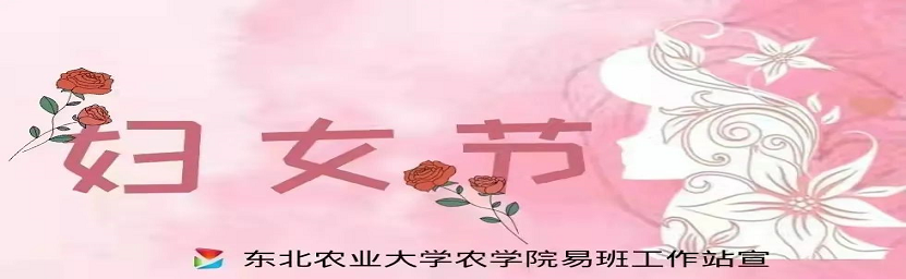 飞跃冬梦正式亮相_冬梦和飞跃有什么寓意_冬梦飞跃