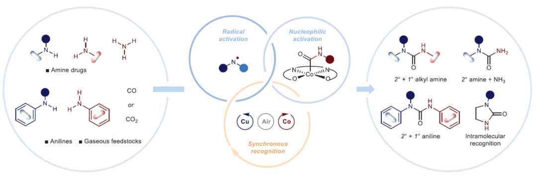 《Science》！国仪量子EPR助力催化反应机理研究