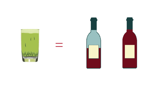 详细数据告诉你，一杯茶的营养价值有多高。