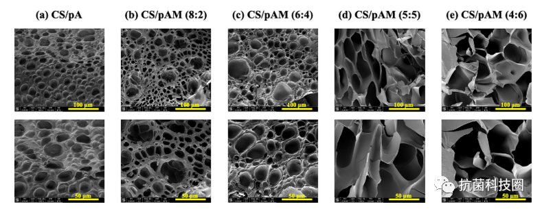 壳聚糖抗菌凝胶怎么用美国康涅狄格大学罗阳超教授Adv. Compos. Hybrid Mat.：抗菌活性增强的壳聚糖／聚合物双网络水凝胶的构建与表征_https://www.jmylbn.com_新闻资讯_第6张
