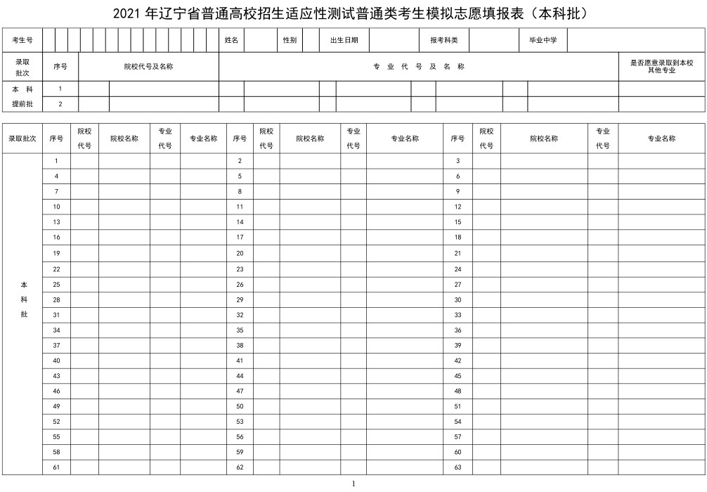 2021年辽宁新高考适应性考试八省联考模拟志愿填报样表