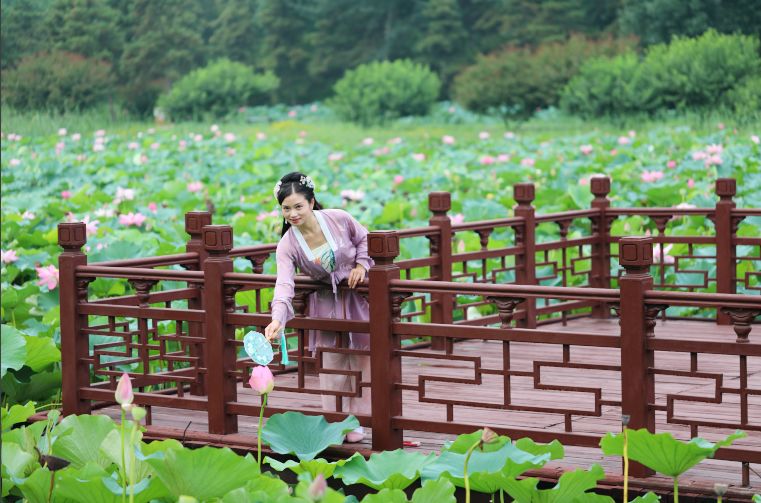 莲花堂_上海易初莲花 卜蜂莲花总部_普法栏目剧莲花闹海堂