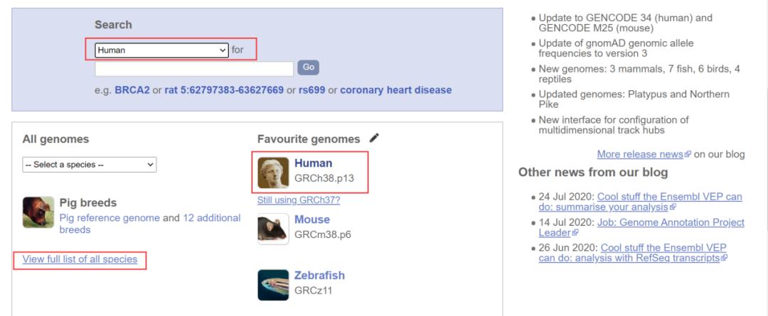 在html中获取json数据_uniprot数据库_获取dataset中数据