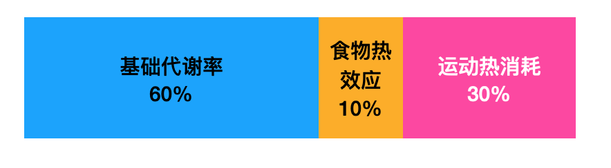 减肥操健身操30分钟初学者_减肥操_减肥操一周瘦10斤