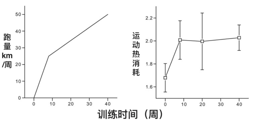 减肥操健身操30分钟初学者_减肥操一周瘦10斤_减肥操