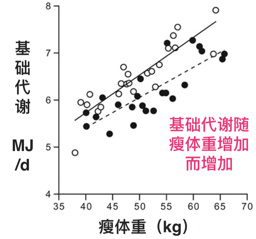 减肥操健身操30分钟初学者_减肥操_减肥操一周瘦10斤