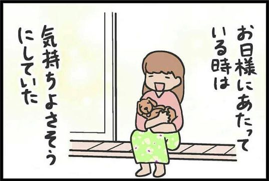 下次看到狗狗坐在小推車里，請別再問為什麼了... 寵物 第4張