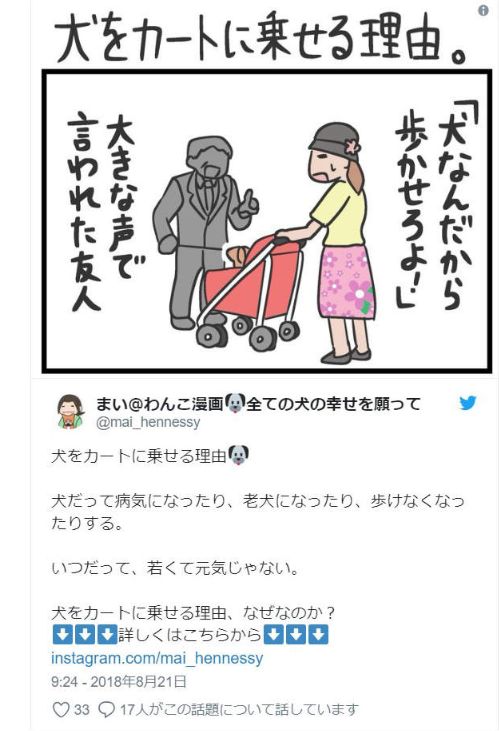 下次看到狗狗坐在小推車里，請別再問為什麼了... 寵物 第1張