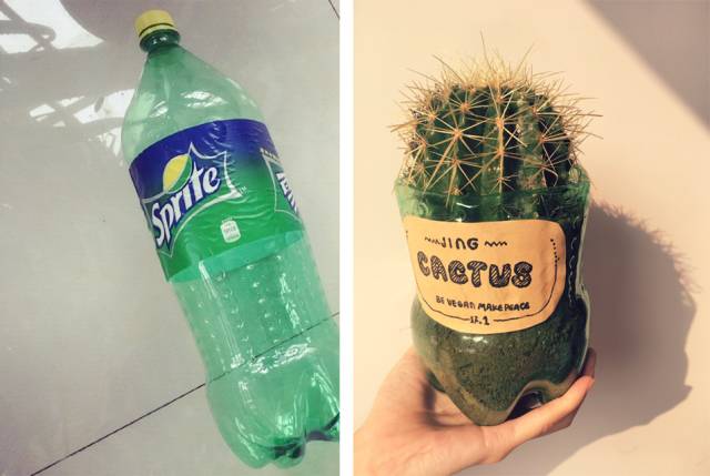 旧物改造花盆君~旧物改造的花盆比买来的还美!