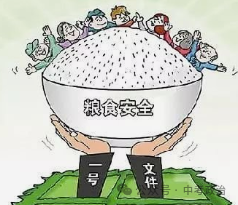 2024年中考道法时政热点39：2024年中央一号文件