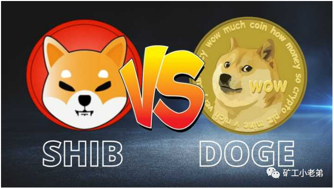 Shib VS Dogecoin狗屎决斗！  ！  !不要投资你不了解的东西