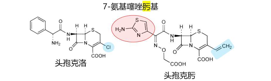 头孢克洛和头孢克肟之间的区别！