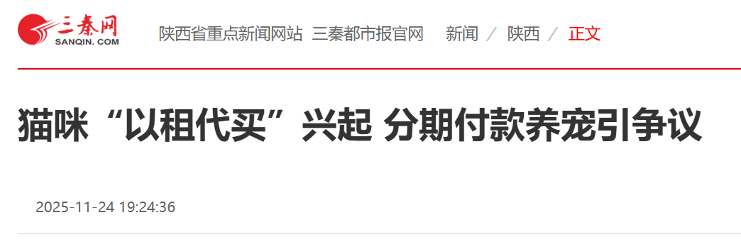 猫咪被拿来做融资租赁了