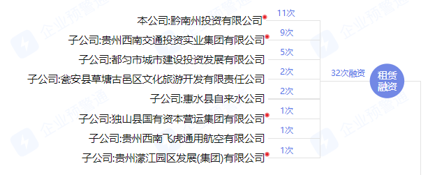 城投公司为股东租赁借款提供担保，结果双双沦为被执行人