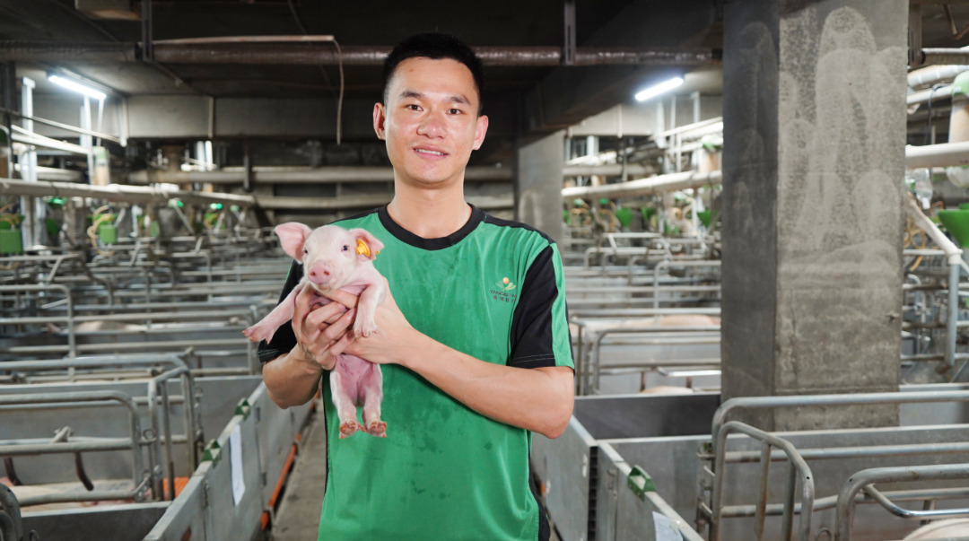 第一批在扬翔智能设施楼房猪场的大学生，已经当上场长了