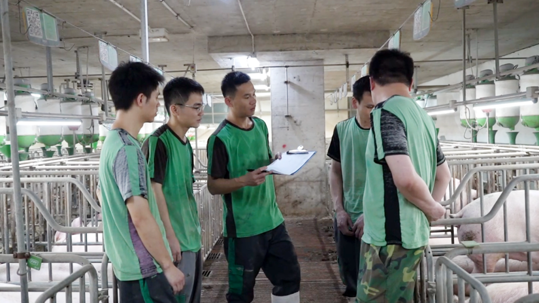第一批在扬翔智能设施楼房猪场的大学生，已经当上场长了