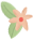 家有榆木_榆木不进家是什么意思_榆木家具进家好不好