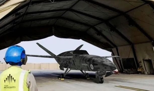 英国叫停“蚊子”验证机，日本转投美国的图3