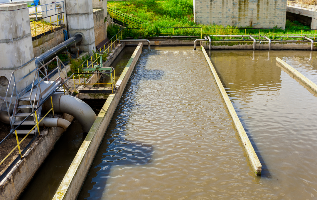 【干货】怎么判断活性污泥的性状？