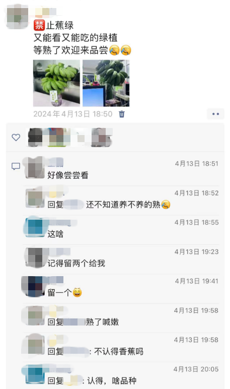 一家开了二十几年的水果店，只卖香蕉，没有“蕉绿”