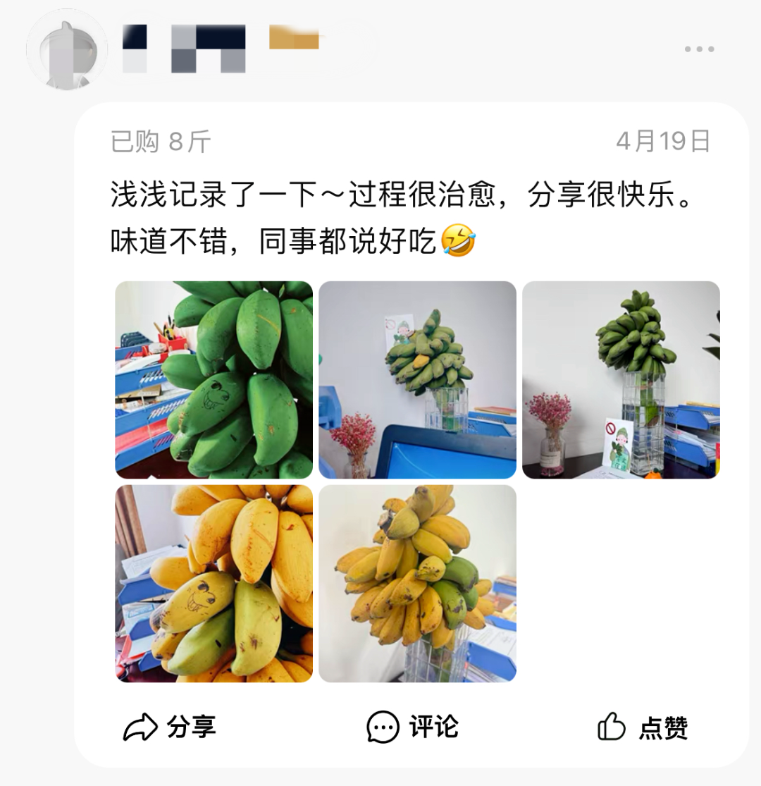 一家开了二十几年的水果店，只卖香蕉，没有“蕉绿”