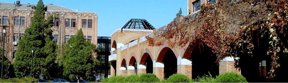 gsd的究极波动剑用冰刃_振幅还是振幅_波动的振幅可以用什么来描述