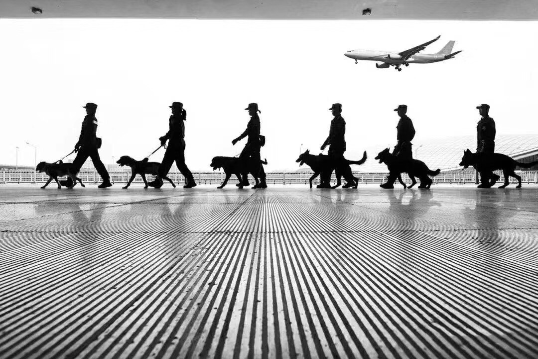 服务涵盖昆明无人机培训、昆明保安服务、昆明物业服务、昆明宠物医疗美容、昆明职业技能培训服务、昆明广告策划、昆明安防监控。