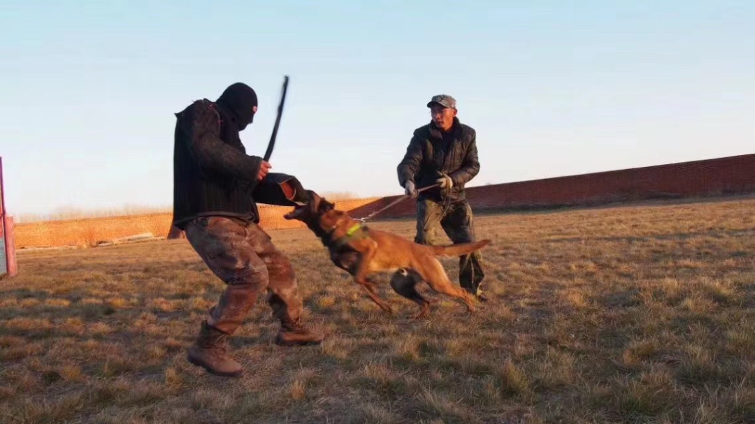 服务涵盖昆明无人机培训、昆明保安服务、昆明物业服务、昆明宠物医疗美容、昆明职业技能培训服务、昆明广告策划、昆明安防监控。