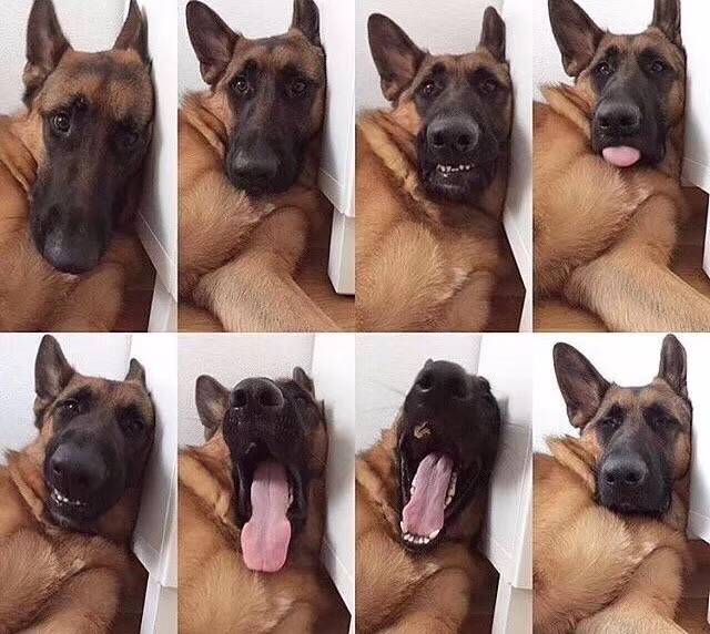 服务涵盖昆明无人机培训、昆明保安服务、昆明物业服务、昆明宠物医疗美容、昆明职业技能培训服务、昆明广告策划、昆明安防监控。