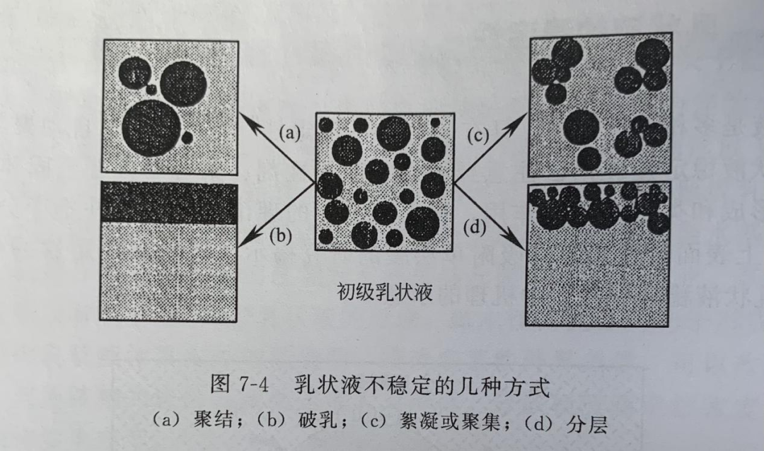 QQ截圖20230209162730
