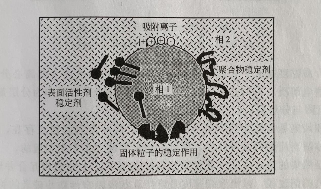 QQ截圖20230209162722