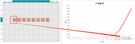 pcr管是什么一文看懂荧光定量PCR检测耗材！_https://www.jmylbn.com_新闻资讯_第2张