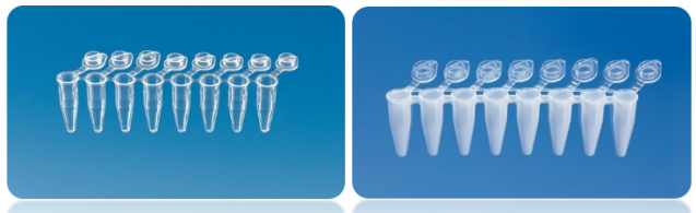 pcr管是什么一文看懂荧光定量PCR检测耗材！_https://www.jmylbn.com_新闻资讯_第3张